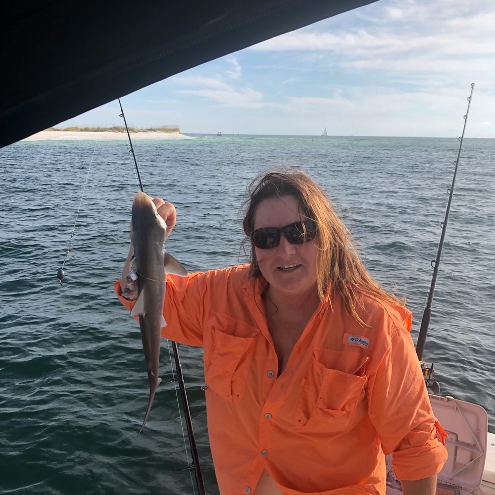 Meet your Posher, Joyce